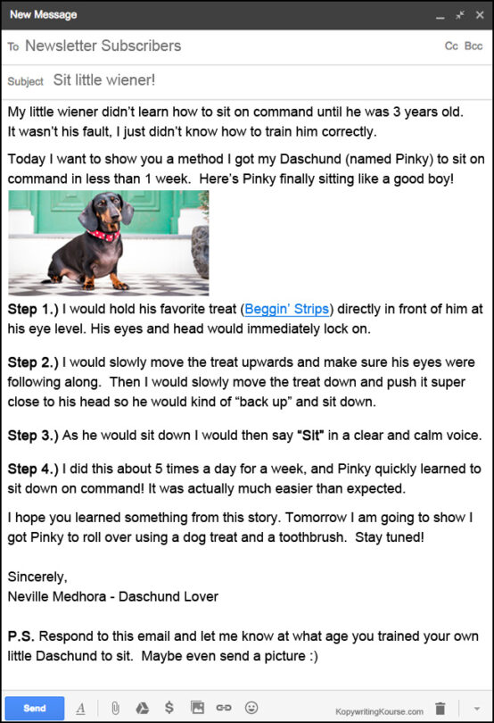email newsletter wiener dog daschund example